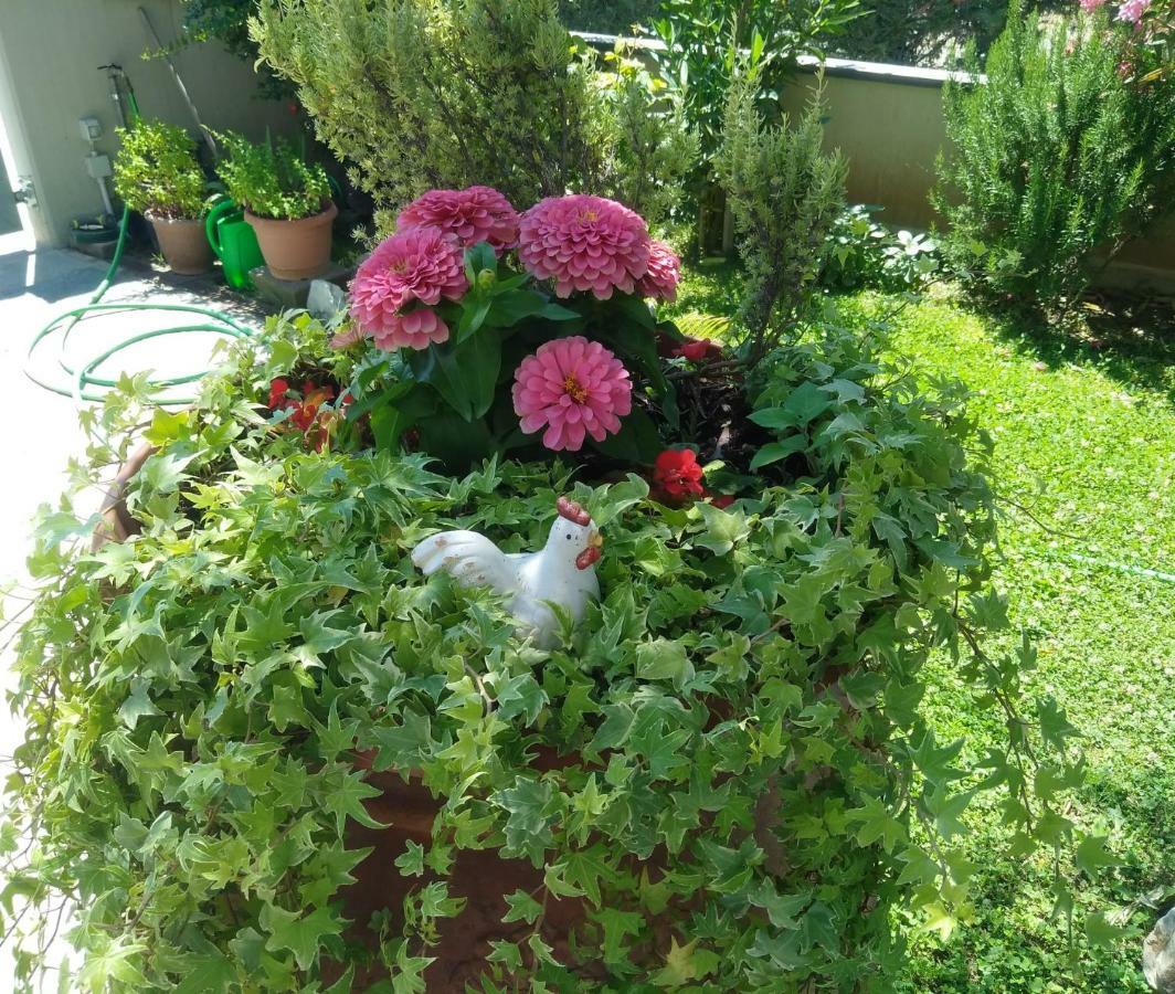 Appartamento Berlicche Agliana Exterior foto